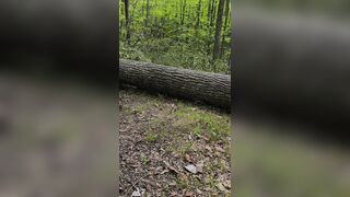 Twat Pleasing Tree Log Squirting Thick Hog